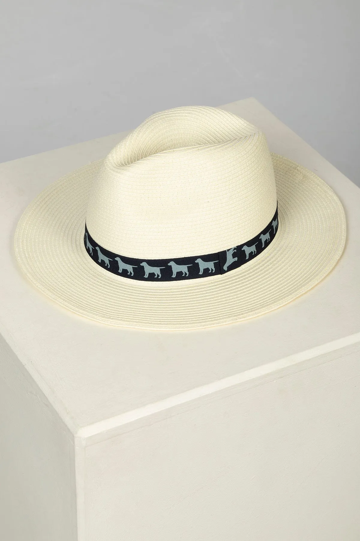 Men's Panama Style Hat